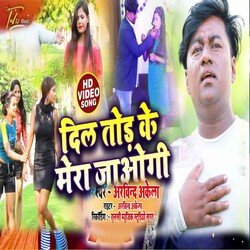 Dil Tor Ke Mera Jaogi (Bhojpuri)-RRAyeEZ,e3Q