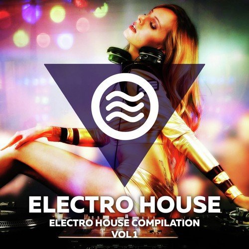 Electro House Compilation Vol. 1