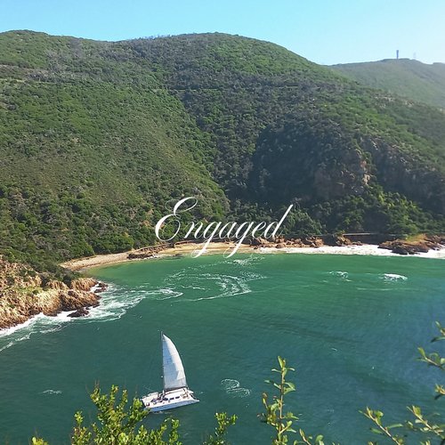 Engaged cover art