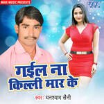 Gail Na Killi Maar Ke