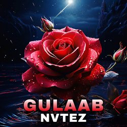 Gulaab-BTo8VQx3Wkc