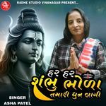 Har Har Shambhu Bhola Tamari Dhun Lagi