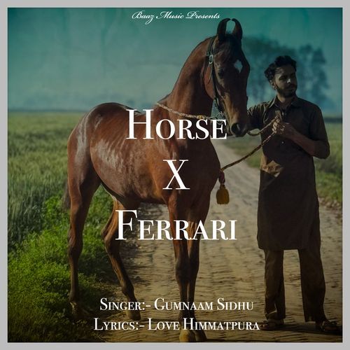 Horse X Ferrari