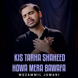 Kis Tarha Shaheed Howa Mera Bawafa