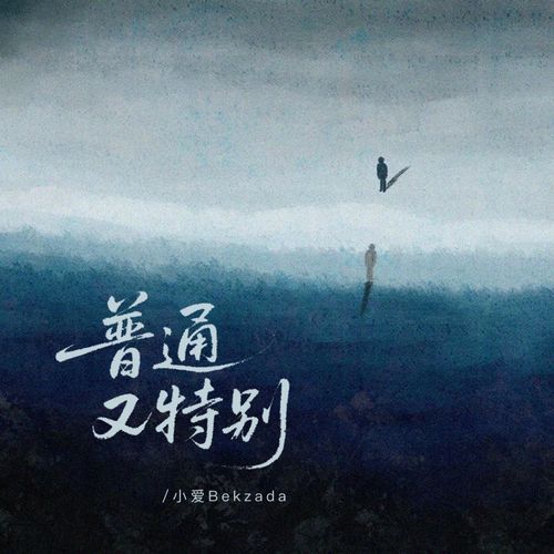 普通又特别