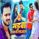 Madwa Chhawaye Lagal