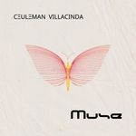 Muse artwork