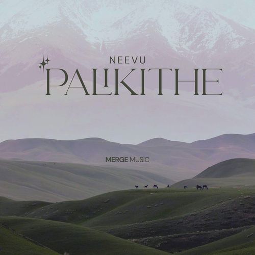 Neevu Palikithe