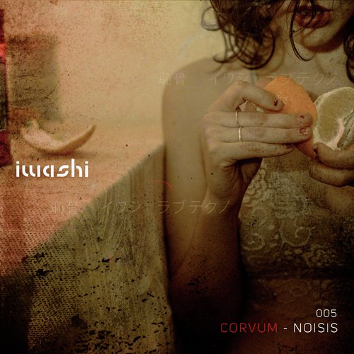 Noisis cover art