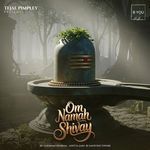 Om Namah Shivay