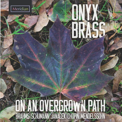 On an Overgrown Path