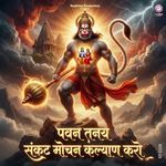 Pawan Tanay Sankat Mochan Kalyan Karo artwork