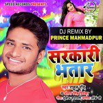 Sarkari Bhatar (Remix) - Single