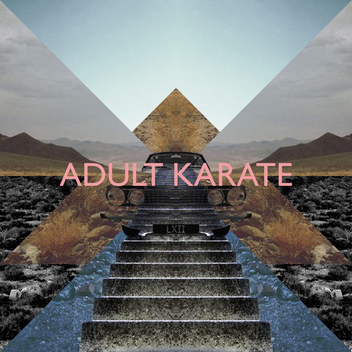 Adult Karate