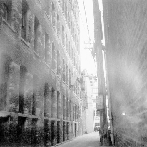 Plaster Dog cover art