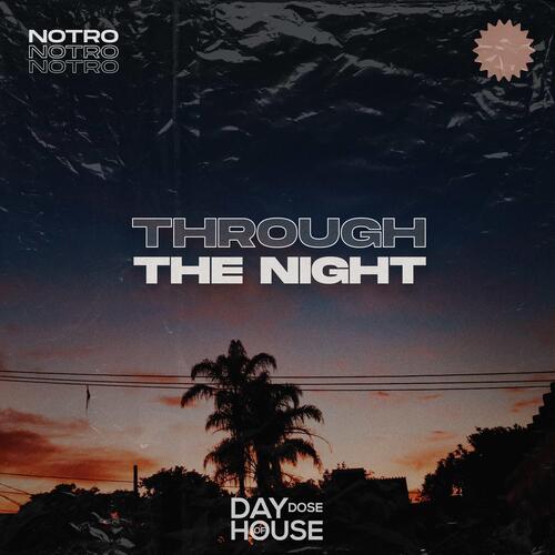 Through The Night_poster_image