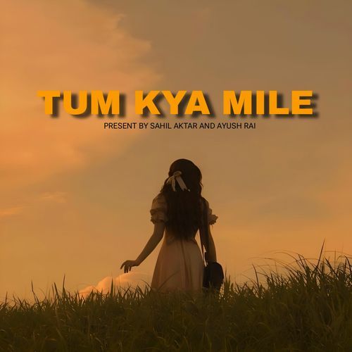 Tum Kya Mile