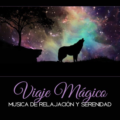 Musica Ambiental cover art