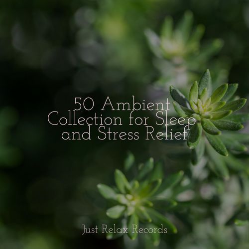 50 Ambient Collection for Sleep and Stress Relief_poster_image