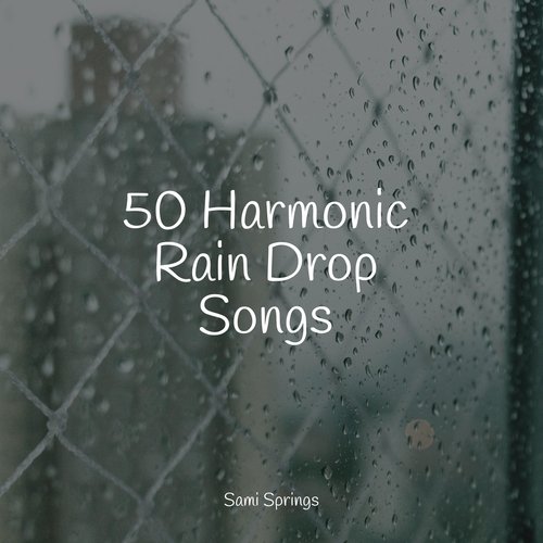 Rain, Storm and Thunder cover art
