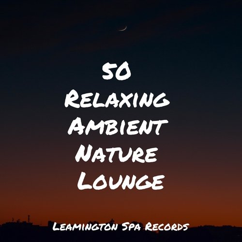 Meditating Music cover art
