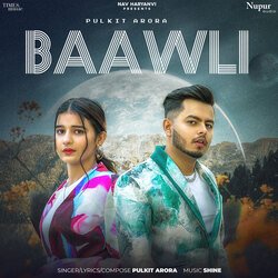 Baawli-CiMYCBUEUVo