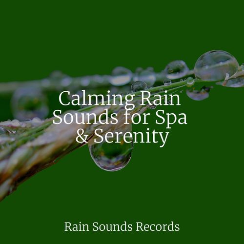 Calming Rain Sounds for Spa & Serenity