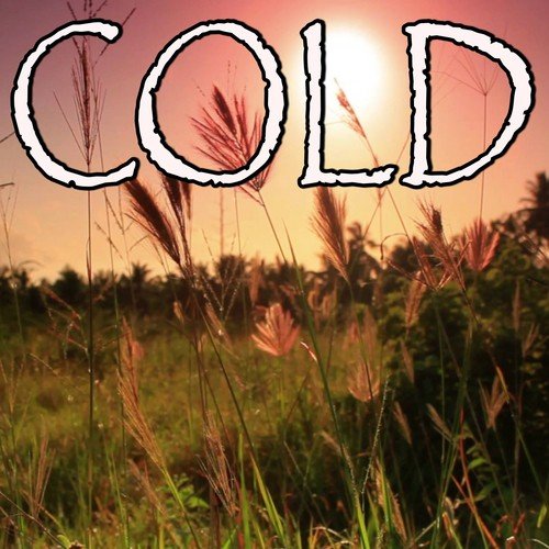 Cold - Tribute to Maroon 5 and Future