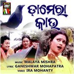 Damara Kau