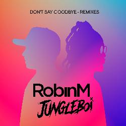 Don't Say Goodbye (Remixes)