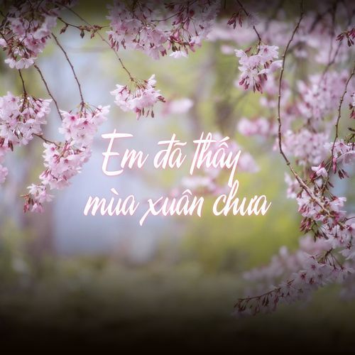 Em Đã Thấy Mùa Xuân Chưa
