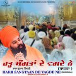 HARH SANGTAAN DE VAGDE NE