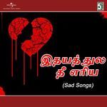 Idhayathula Thee Yeriya - Sad Songs