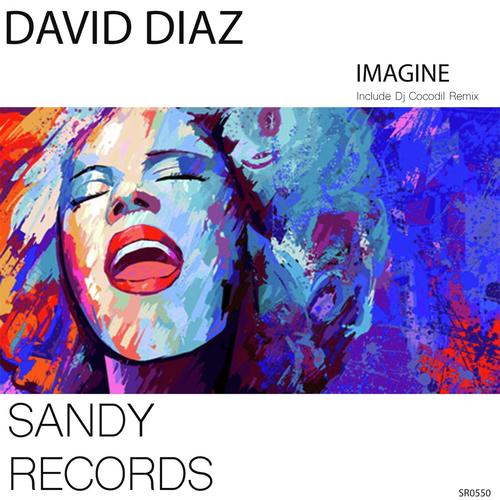 Imagine (Dj Cocodil Remix) cover art
