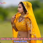 KALI KALI CHUNNI SU UDA DI DHOOL DJ P
