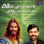 Kzhemichiduvan Kripayekane