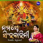 Aasa Aasa Maa Durga Go