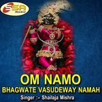 Om Namo Bhagwate Vasudeway Namah