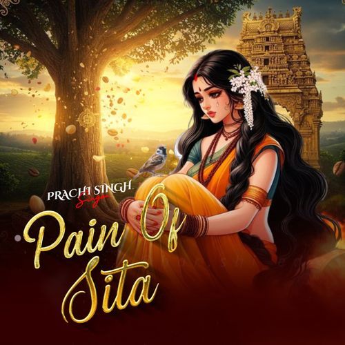 PAIN OF SITA