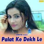Palat Ke Dekh Le