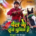 Pel Ke Roje Ghumit Hai artwork