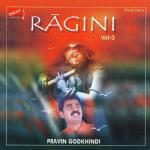 Ragini Vol.3