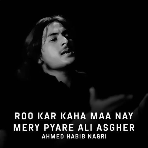 Roo Kar Kaha Maa Nay Mery Pyare Ali Asgher