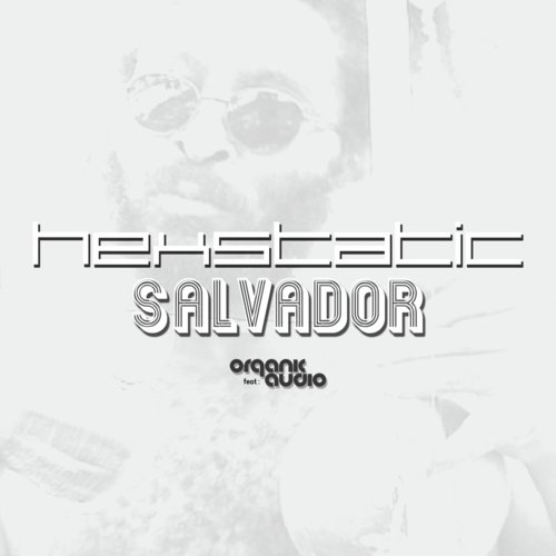 Salvador (Seiji's Bugz In The Attic remix) cover art
