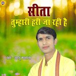 Seeta Humari Hari Ja Rahi He