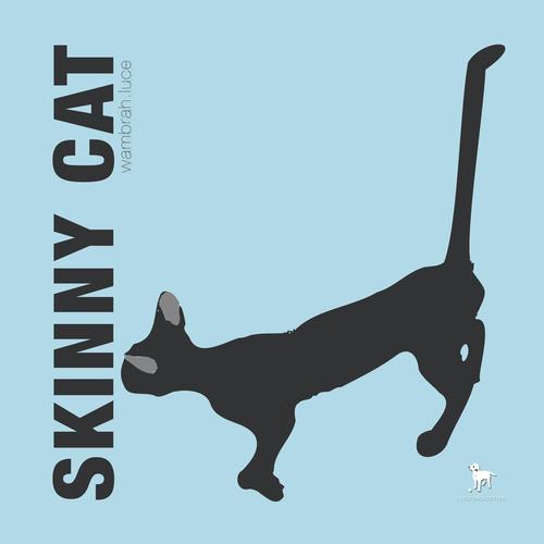 Skinny Cat cover art