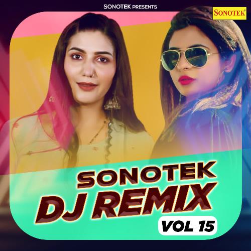 Sonotek DJ Remix Vol 15