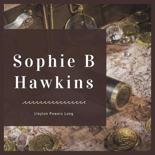 Sophie B Hawkins cover art