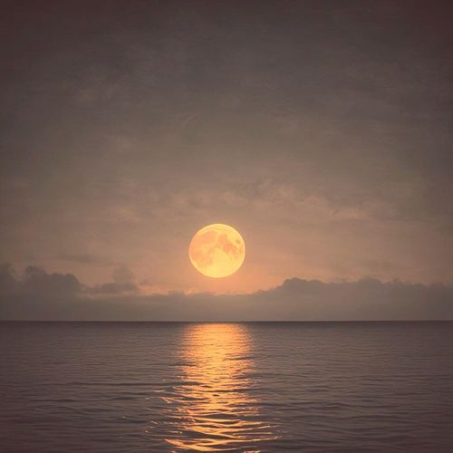 Summer Night