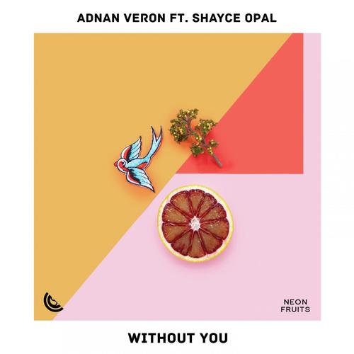 Without You (feat. Shayce Opal)_poster_image